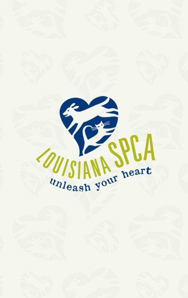 Louisiana SPCA | Ben Beard Developer